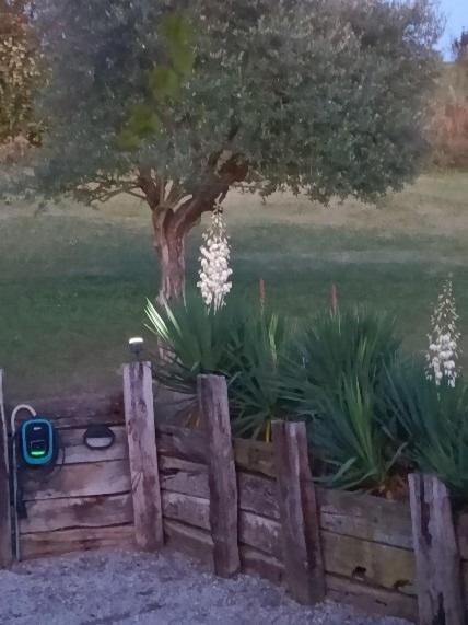 Holiday home Casa Del Canta Borgomale
