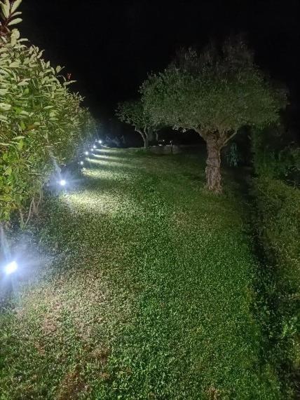 Casa Del Canta * Borgomale