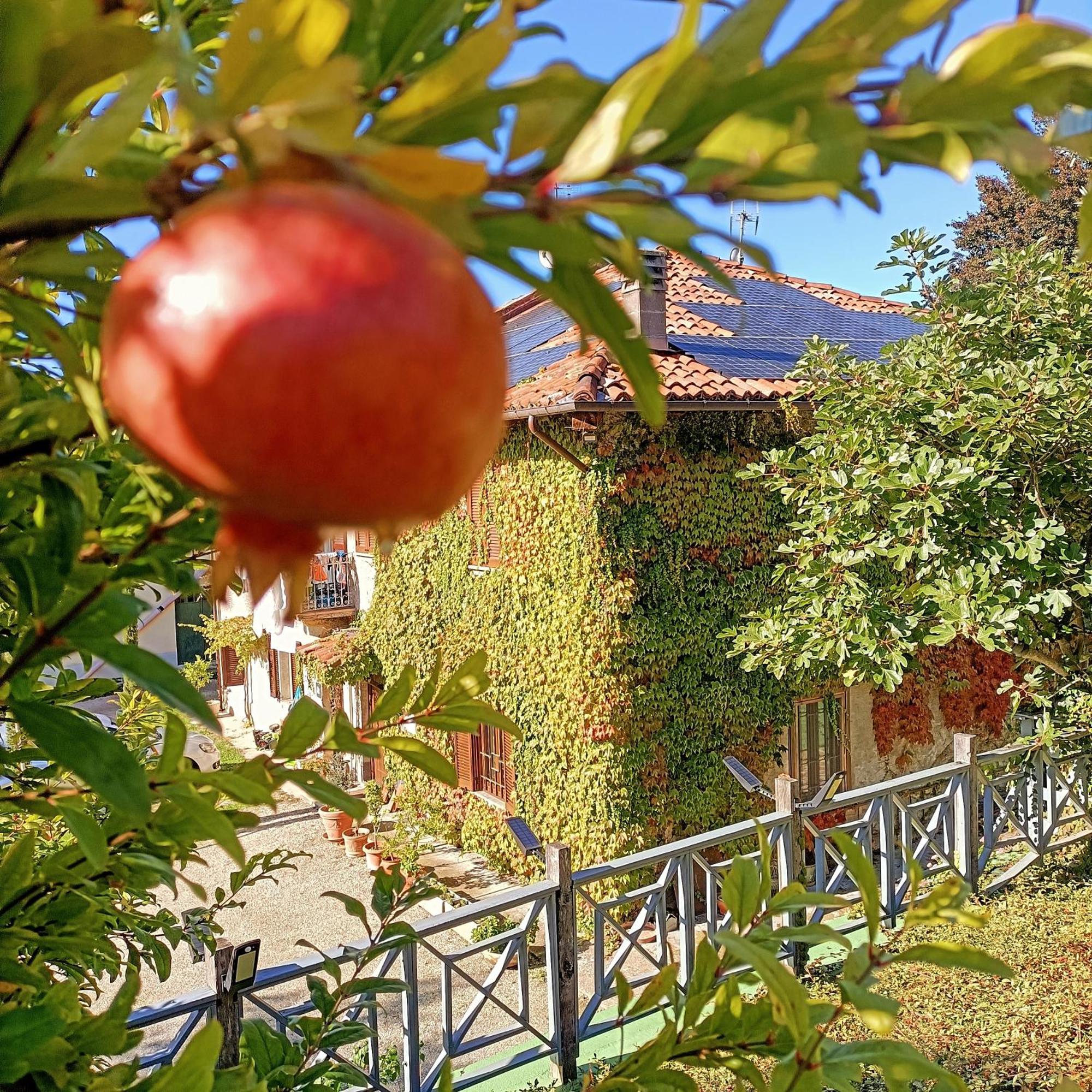 Casa Del Canta Holiday home *